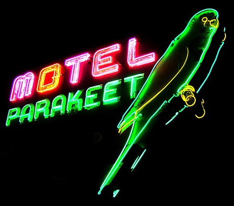 flickr by stillframe