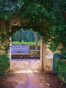 starrynight1 on flickr