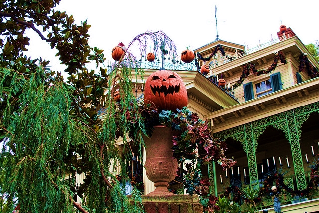 harshlight Anna Fox on flickr cc