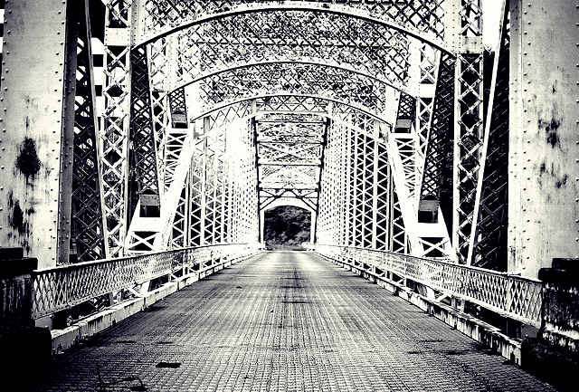 Schrödinger’s Goose (a fably&nbsp;bit)