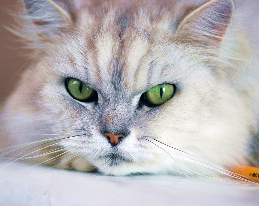 Why shouldn’t I be&nbsp;judgmental?