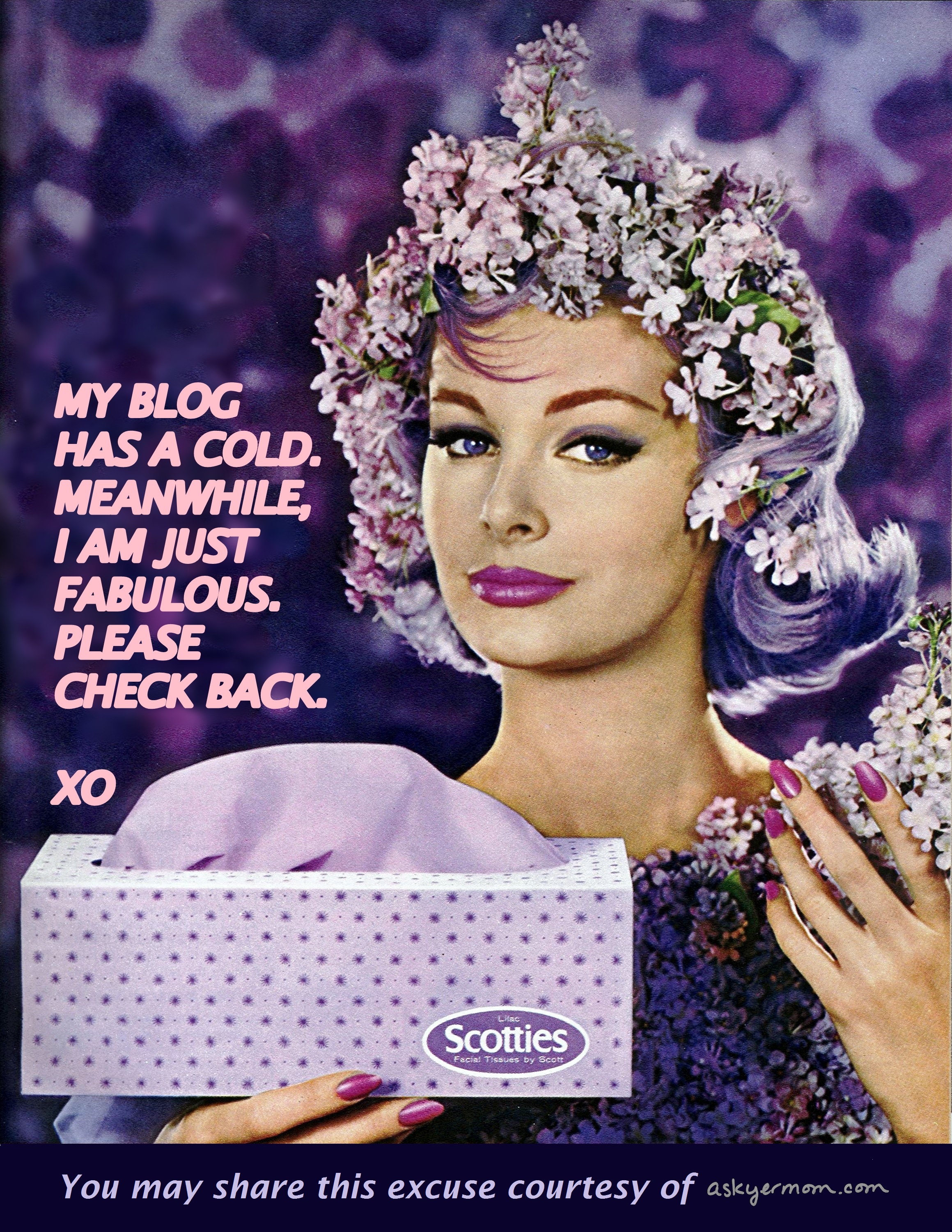 blog excuse cold image via clotho98 on flickr