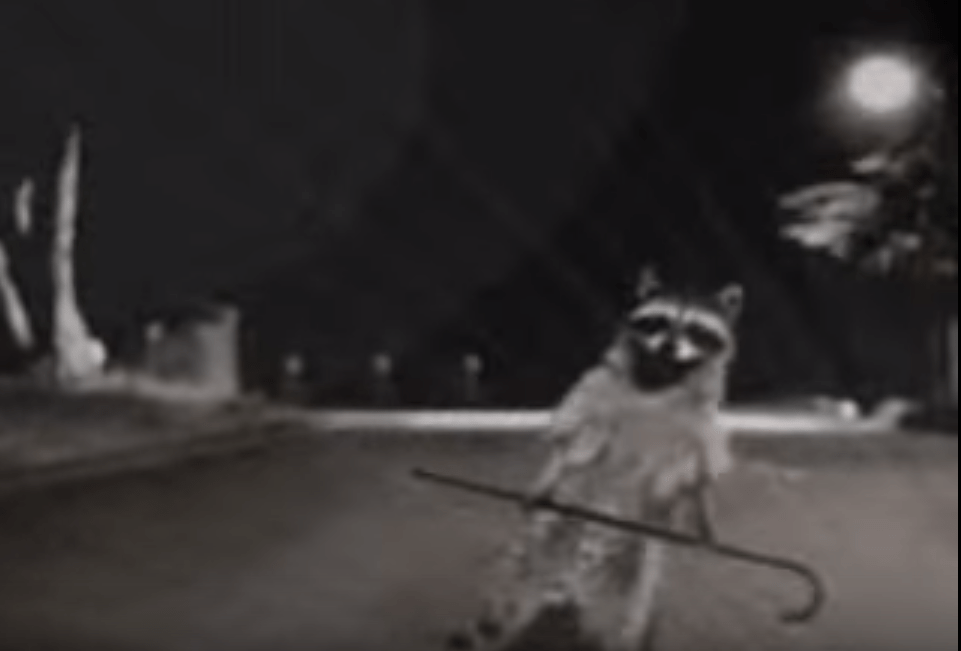 Music Monday with the&nbsp;Bodeans