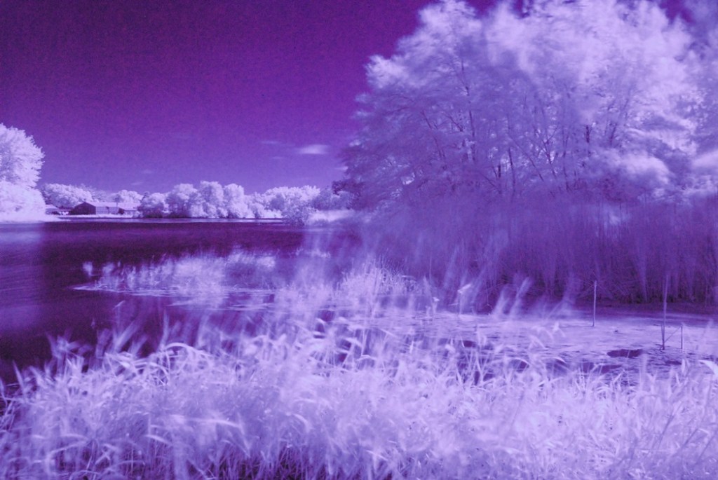 How can we fix the world’s big&nbsp;problems?