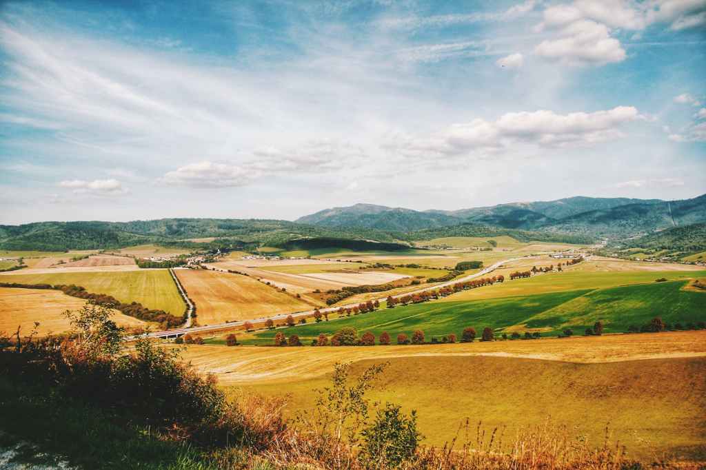 “This Old Patriot Stood His Ground” — “Your Dying Charlotte”
