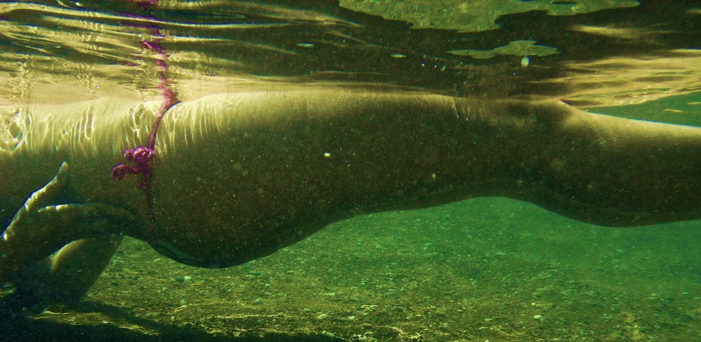 What should I do if I hate my&nbsp;thighs?