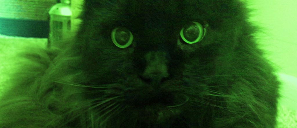 How to be content at home, Part&nbsp;one