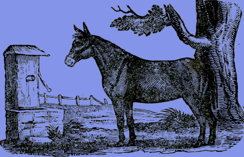 How can I tell my friend they&nbsp;stink?