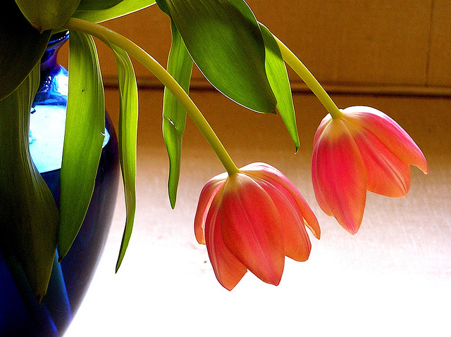 Featured Image -- 8421