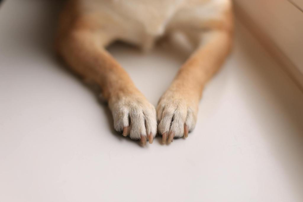 Prediction and Pessimism Problems